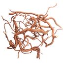 WIO - Roots - Twisted Root