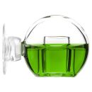 Aqua Rebell - Orb Checker - B-Ware - Normal