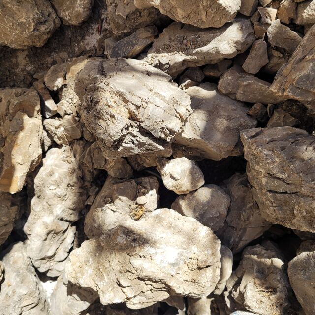 WIO - Stones - Elderly Stone