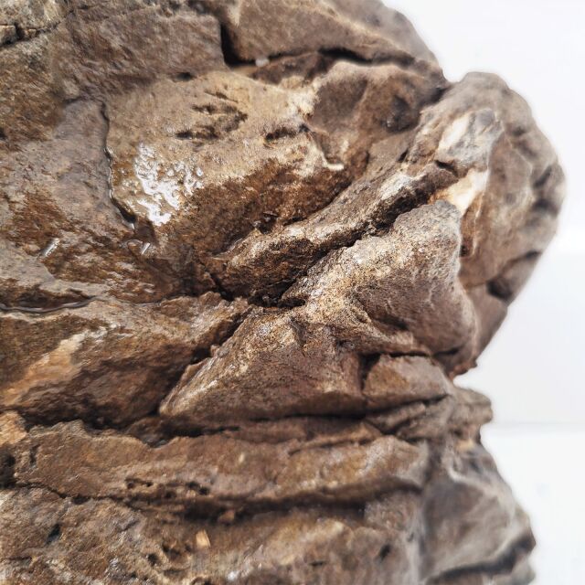 WIO - Stones - Elderly Stone