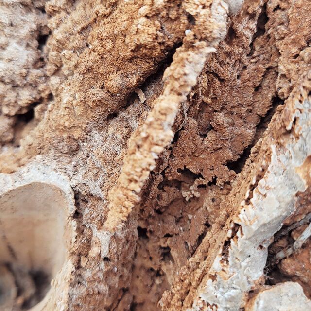 WIO - Stones - Paleorock Stone