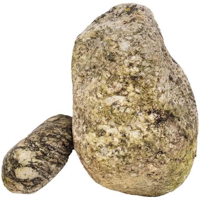 WIO - Stones - Elderly Boulder