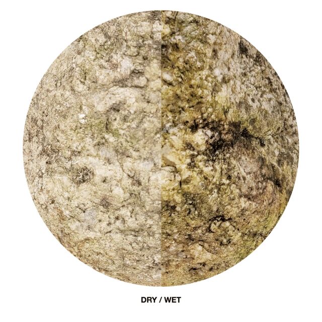 WIO - Stones - Elderly Boulder