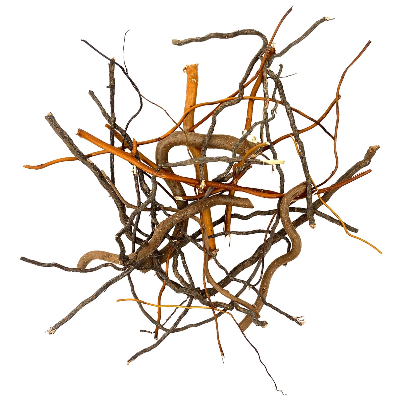 WIO - Roots - Mix Root - 10-30 cm - 140 g