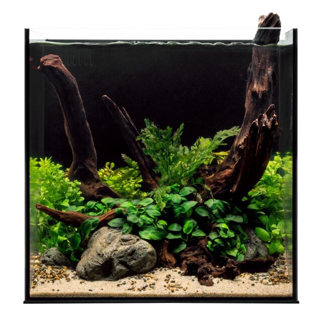 https://www.aquasabi.de/media/image/product/37205/md/uns-dual-all-in-one-cube.jpg