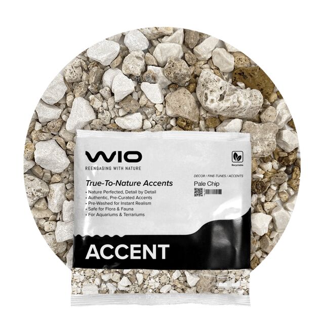 WIO - Accents - Pale Accent