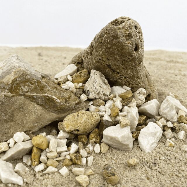 WIO - Accents - Pale Accent