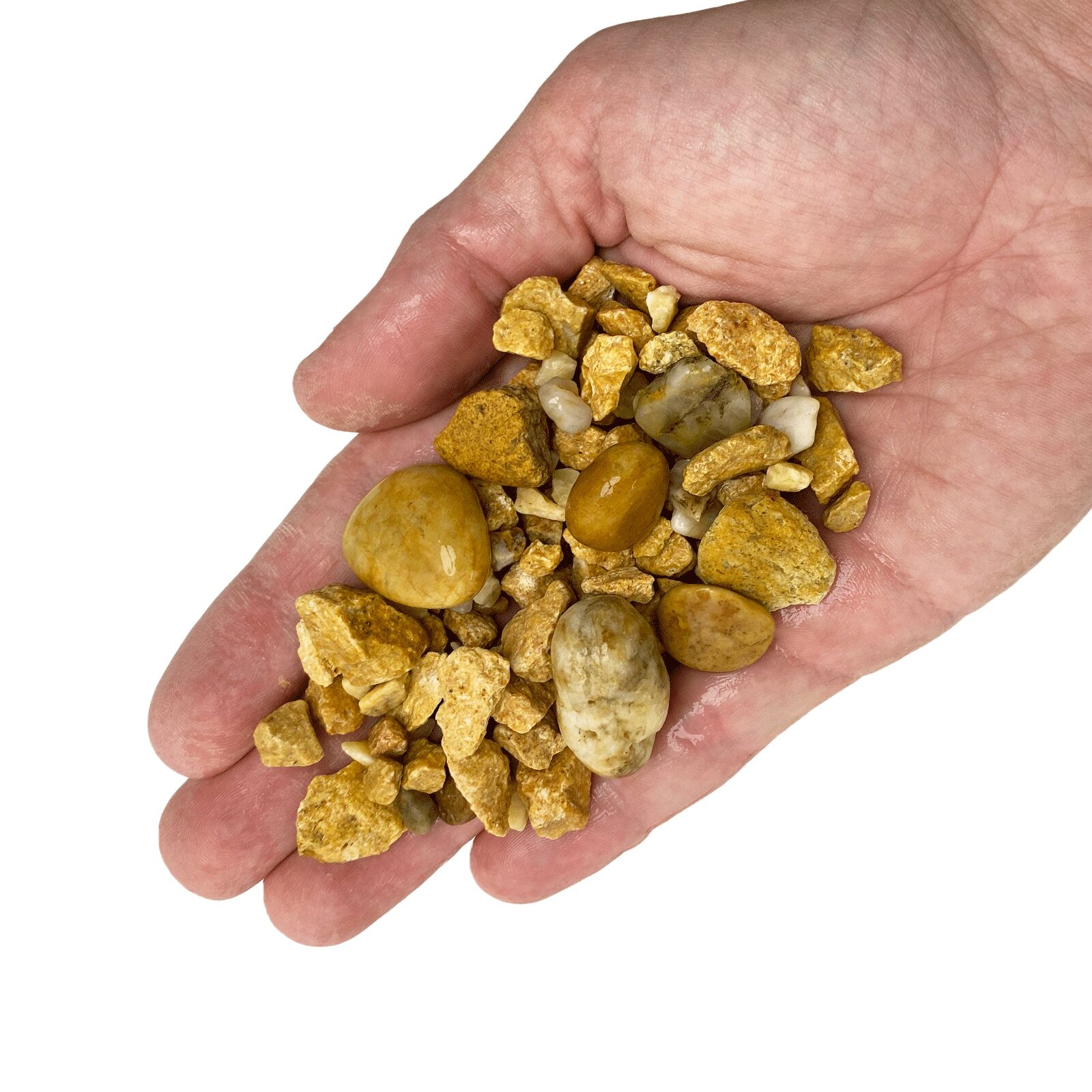 WIO - FineTuning - Yellow Accent