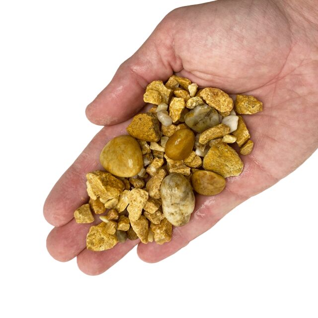 WIO - Accents - Yellow Accent