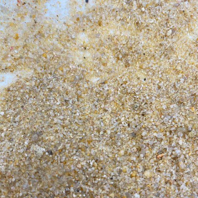 Me - Artic Sand
