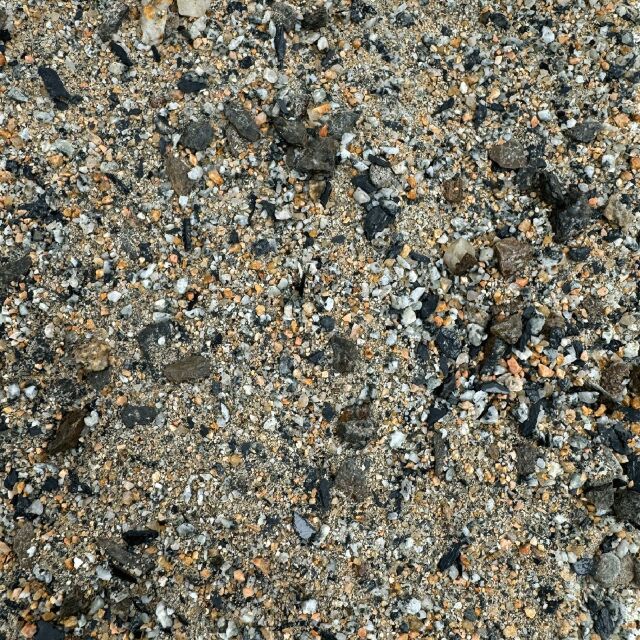 Me - Wild Sand
