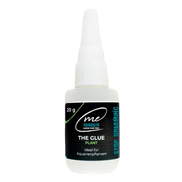 Me - The Glue - Plant