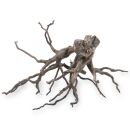 Black Root