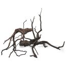 Black Root - Set - S