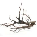 Black Root - Set - M