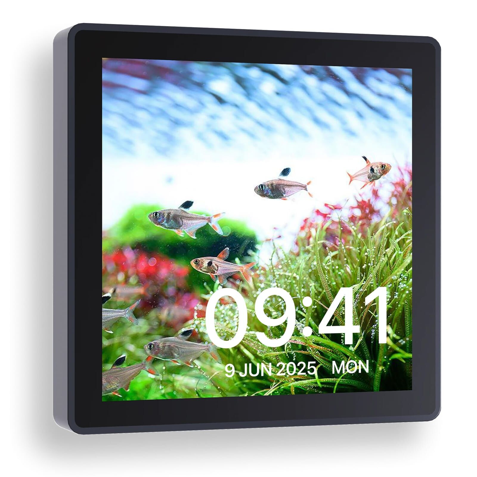 Chihiros - Wifi Hub PRO