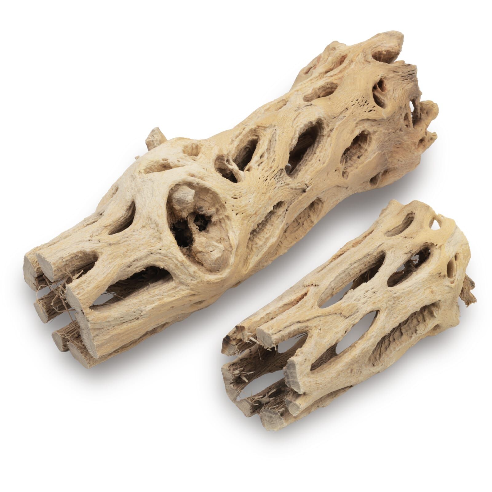 Cholla Wood light Mix - 8 + 15 cm