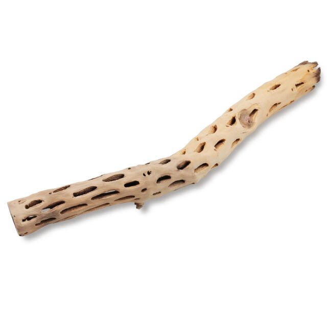 Vukaholz hell - 50 cm