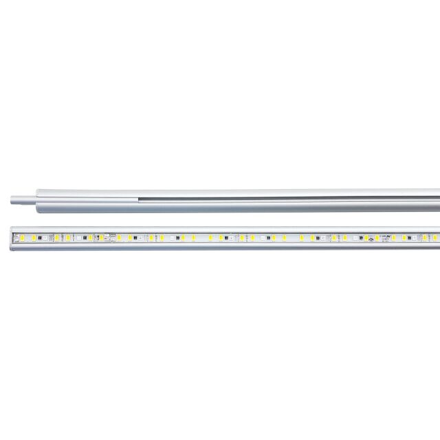 daytime - onex - plant - 110 - B-Ware