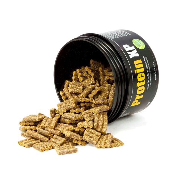 GlasGarten &ndash; Protein XP