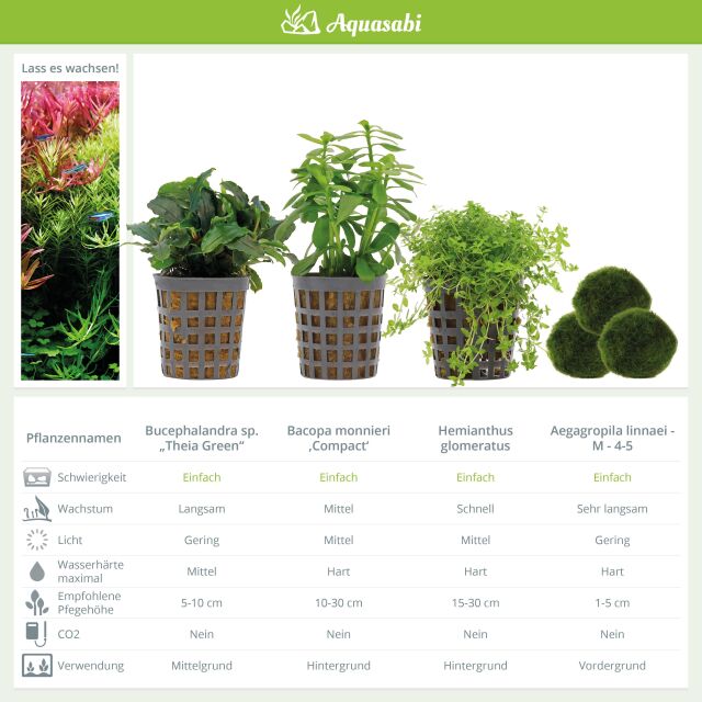 Aquarium Plant Set - 30 Liters - Green - Easy - No. 01
