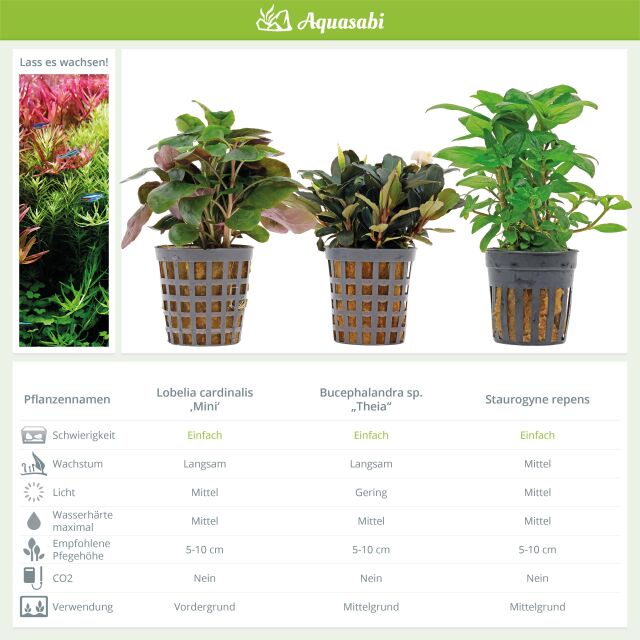 Aquarienpflanzen Set - 30 Liter - Farbig - einfach - Nr. 02