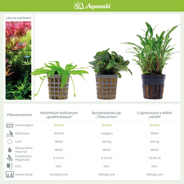 Aquarienpflanzen Set - 30 Liter - Farbig - einfach - Nr. 03