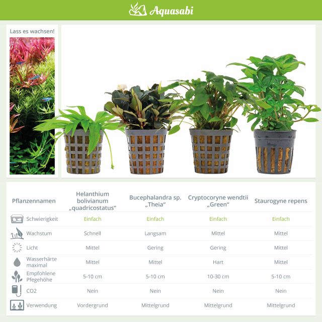 Aquarienpflanzen Set - 250 Liter - Gr&uuml;n - einfach - Nr. 01