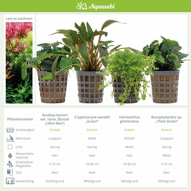 Aquarienpflanzen Set - 250 Liter - Gr&uuml;n - einfach - Nr. 02