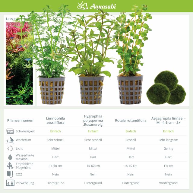 Aquarienpflanzen Set - 250 Liter - Gr&uuml;n - einfach - Nr. 04