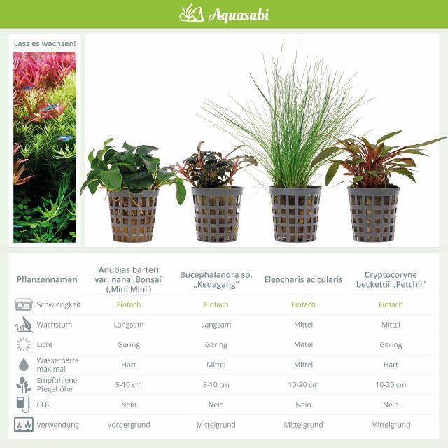 Aquarienpflanzen Set - 250 Liter - Gr&uuml;n - einfach - Nr. 05