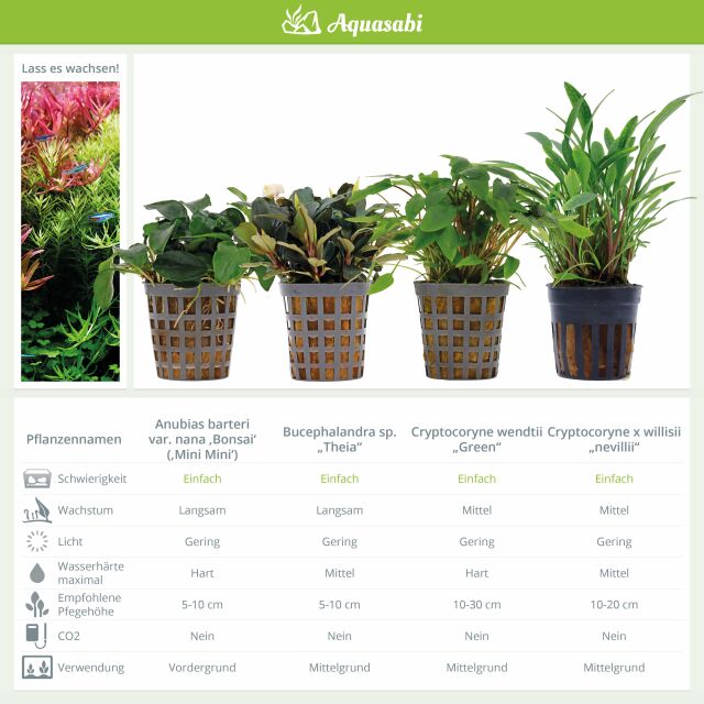 Aquarienpflanzen Set - 250 Liter - Gr&uuml;n - einfach - Nr. 06