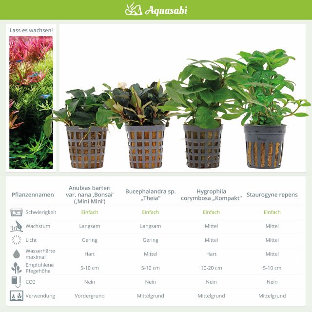 Aquarienpflanzen Set - 250 Liter - Farbig - einfach - Nr. 02