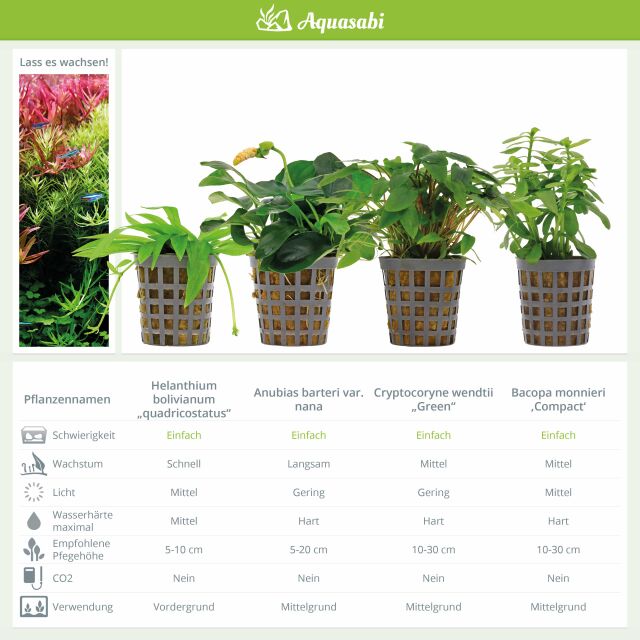 Aquarienpflanzen Set - 250 Liter - Farbig - einfach - Nr. 03