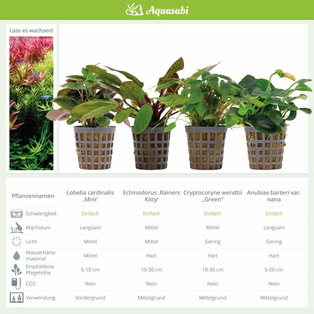 Aquarium Plant Set - 250 Liters - Colorful - Easy - No. 04