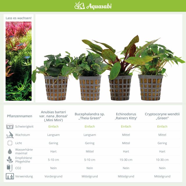 Aquarienpflanzen Set - 250 Liter - Farbig - einfach - Nr. 08