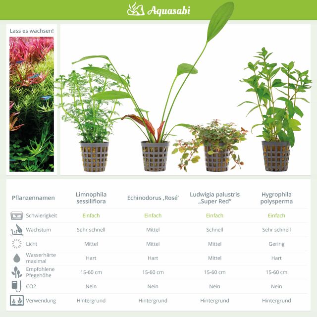Aquarienpflanzen Set - 250 Liter - Farbig - einfach - Nr. 08