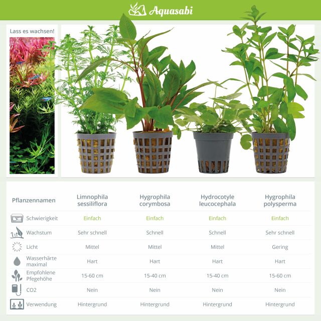 Aquarienpflanzen Set - 250 Liter - Algenkiller - Gr&uuml;n - Nr. 01
