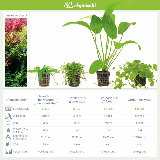 Aquarium Plant Set - 250 Liters - Algae Control - Green - No. 01