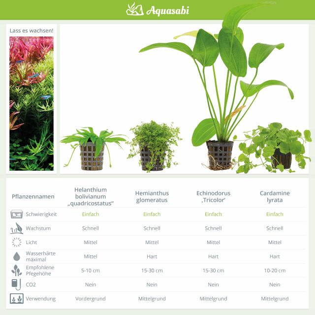Aquarienpflanzen Set - 250 Liter - Algenkiller - Farbig - Nr. 02