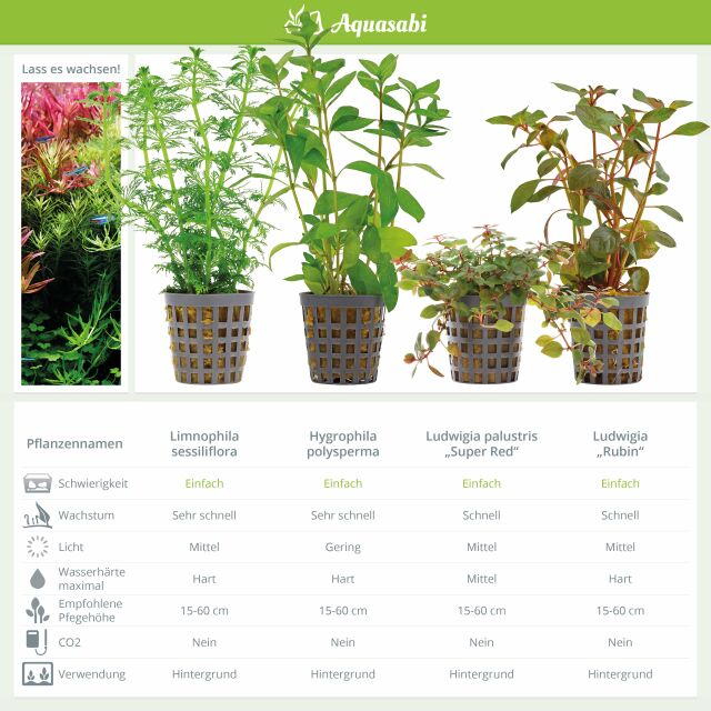 Aquarienpflanzen Set - 250 Liter - Algenkiller - Farbig - Nr. 02