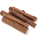 Haselnusszweige - 7x - 10 cm