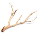 UNS - Ghost Wood - M