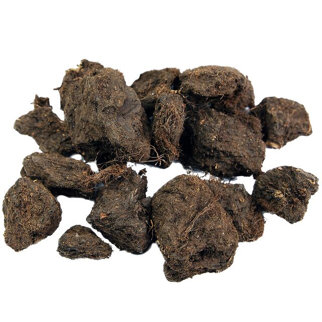 Aquarium M&uuml;nster - Aquavital - Schwarztorf - 1200 ml