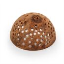 Bengalische Quitte - gelocht