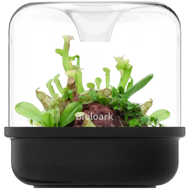 Bioloark - Luji Cup - MY 150 K - schwarz