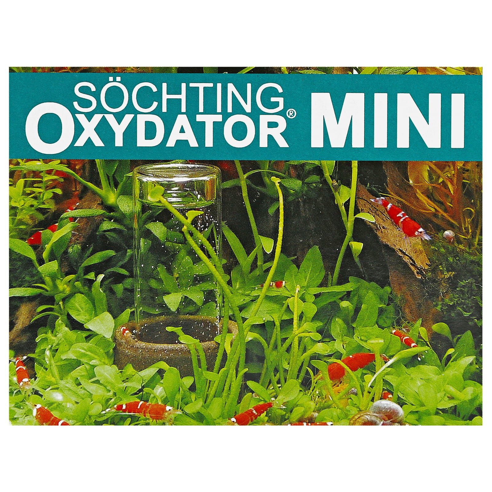 Söchting - Oxydator
