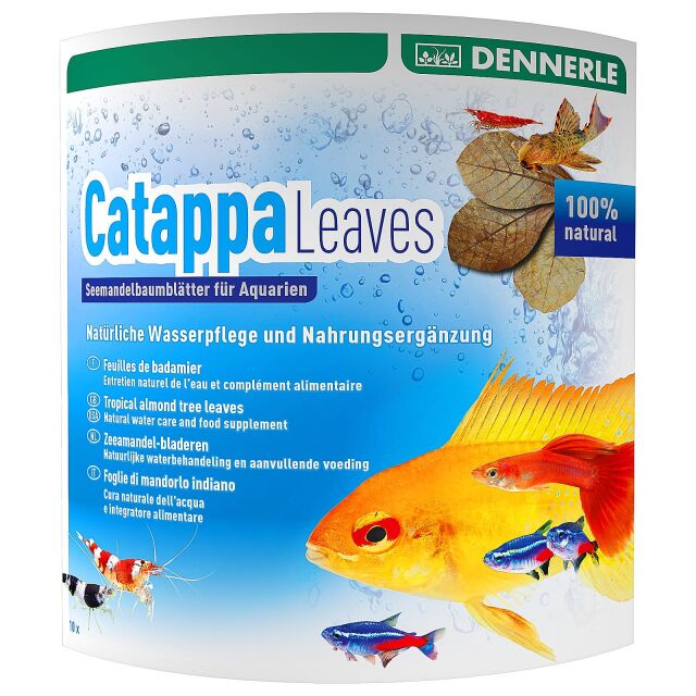 Dennerle - Catappa Leaves - 10x