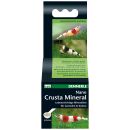 Dennerle - Nano Crusta Mineral - 35 g