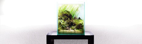 Nano Aquarium